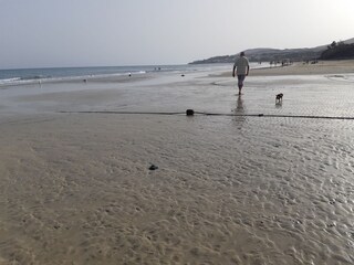 Appartamento per vacanze Costa Calma Caratteristiche 17