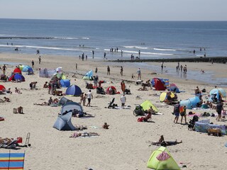 Ferienhaus Callantsoog Umgebung 20