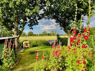 Blick von der Terasse