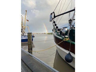 Im Greetsieler Hafen