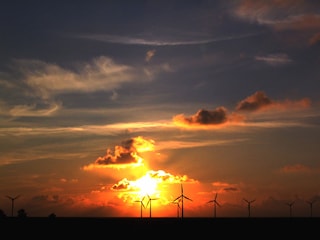 Sonnenuntergang am Deich
