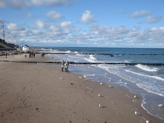 Apartment Bastorf Umgebung 32