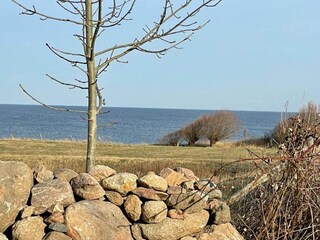 Apartment Bastorf Umgebung 33