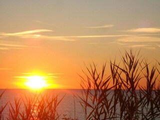 Apartment Bastorf Umgebung 34