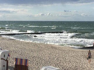 Apartment Bastorf Umgebung 37