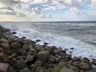 Apartment Bastorf Umgebung 38