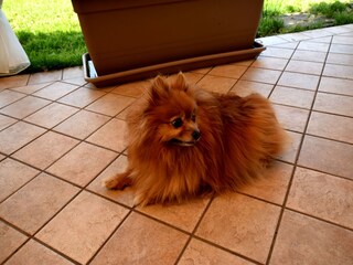 Appartement Lovere  39