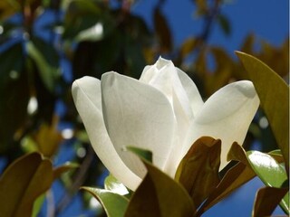 Vakantiehuisje Les Eyzies-de-Tayac-Sireuil Buitenaudio-opname 16