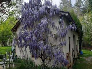 Vakantiehuisje Les Eyzies-de-Tayac-Sireuil Buitenaudio-opname 14