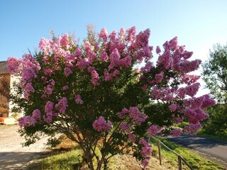 Cottage Les Eyzies-de-Tayac-Sireuil  34