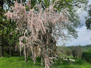 Cottage Les Eyzies-de-Tayac-Sireuil Außenaufnahme 6