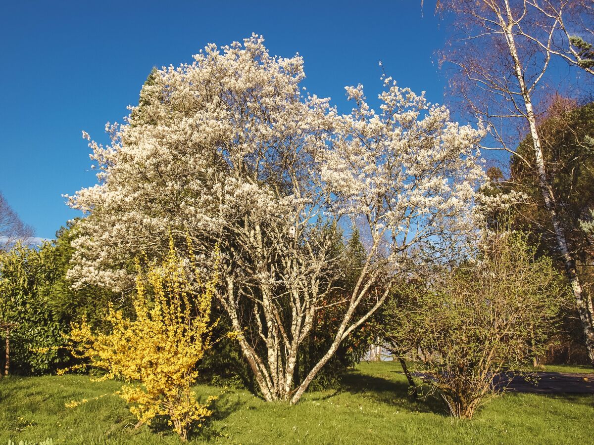 Cottage Les Eyzies-de-Tayac-Sireuil Außenaufnahme 10