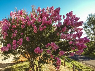 Maison de vacances Les Eyzies-de-Tayac-Sireuil  37