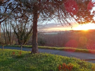 Holiday cottage Les Eyzies-de-Tayac-Sireuil Environment 28