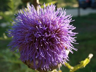 Maison de vacances Les Eyzies-de-Tayac-Sireuil Enregistrement extérieur 10