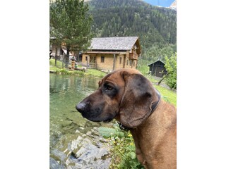 Casa per le vacanze Flattach Caratteristiche 10