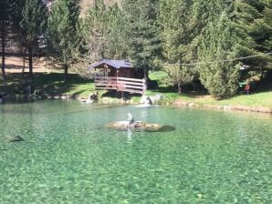 Ferienhaus Gletscher Chalet am Teich - Flattach - image1