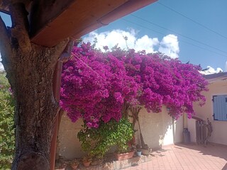 Villa Alghero Enregistrement extérieur 14