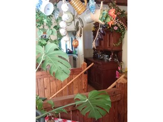 Appartamento per vacanze Hohnstein Caratteristiche 25