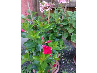 Appartamento per vacanze Hohnstein Registrazione all'aperto 11