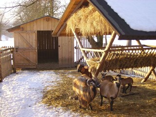 Appartamento per vacanze Hohnstein Ambiente 27