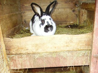 Appartamento per vacanze Hohnstein Ambiente 28