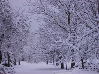 Appartamento per vacanze Hohnstein Registrazione all'aperto 3