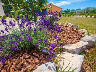 Casa per le vacanze Radetići Ambiente 23