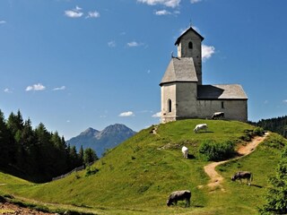 Appartamento per vacanze Lana Ambiente 18