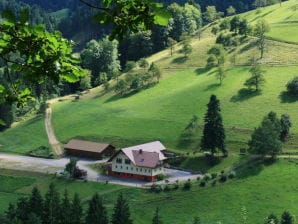 Ferienwohnung OG - Bad Peterstal-Griesbach - image1