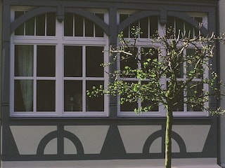 Traum: Wintergarten Optik
