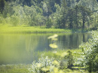 Appartamento per vacanze Seefeld in Tirol Registrazione all'aperto 10