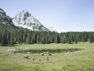 Appartamento per vacanze Seefeld in Tirol Ambiente 30