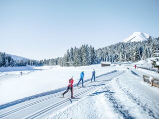 Appartamento per vacanze Seefeld in Tirol Ambiente 33