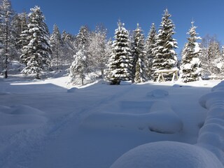 Holiday apartment Seefeld in Tirol Outdoor Recording 3