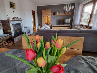 Casa per le vacanze Friedenweiler Caratteristiche 11