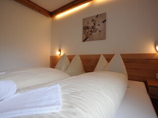 Appartamento per vacanze Dorfgastein Caratteristiche 9