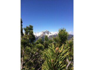 Appartamento per vacanze Dorfgastein Ambiente 14