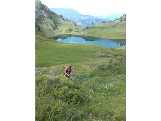 Appartamento per vacanze Dorfgastein Ambiente 16