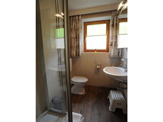 Appartamento per vacanze Dorfgastein Caratteristiche 13