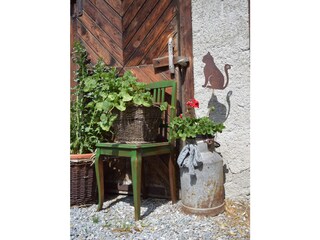 Appartamento per vacanze Dorfgastein Registrazione all'aperto 4