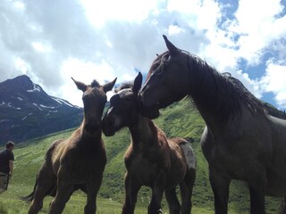 Appartamento per vacanze Dorfgastein Ambiente 18