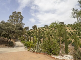Casa per le vacanze Alhaurín el Grande Ambiente 55