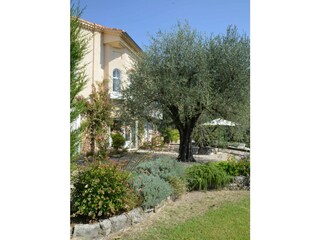 Villa Mouans-Sartoux Außenaufnahme 17