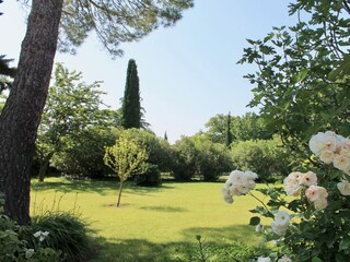 Ferienhaus Châteaurenard Außenaufnahme 22