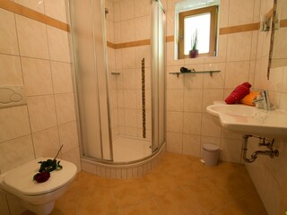 Vakantieappartement Leogang Kenmerken 9