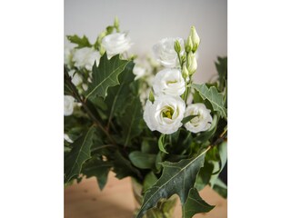 Appartement de vacances Zandvoort Équipement 18