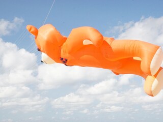 Appartamento per vacanze Callantsoog Ambiente 19