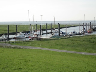 Segler-Hafen Altenbruch
