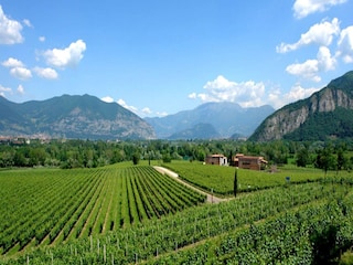 Villa Rovato Ambiente 38